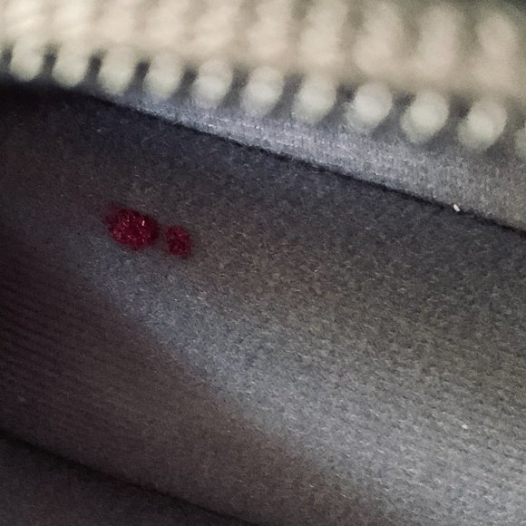 THULE "EnRoute Strut" Backpack EUC - Picture 10 of 10